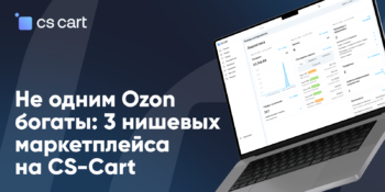 Не одним Ozon богаты: 3 нишевых маркетплейса на CS-Cart